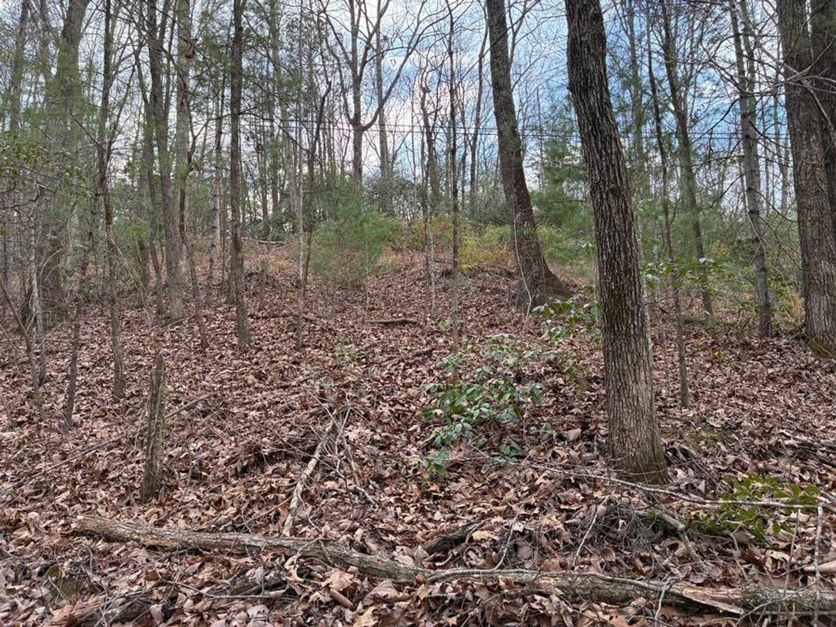 Green Homes for Sale - Culleoka, Tennessee Green Home