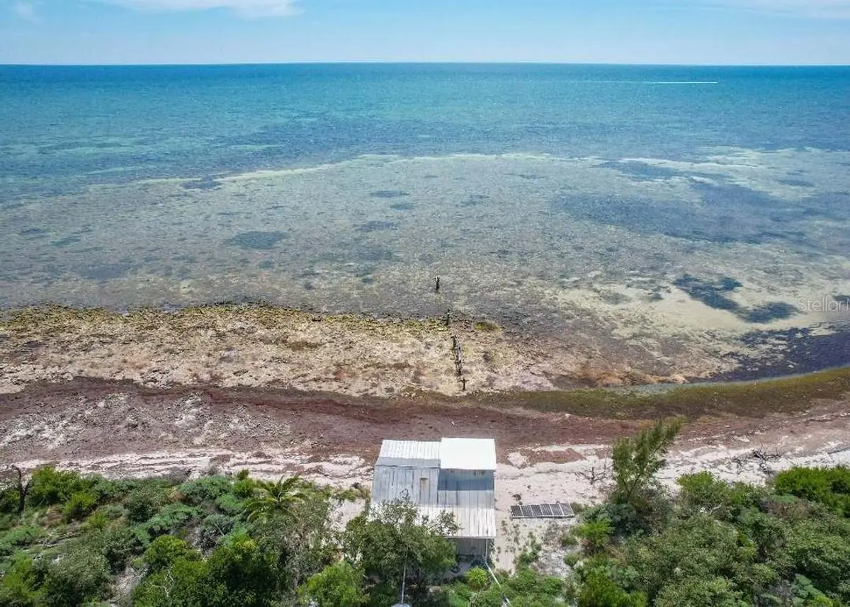 Green Homes for Sale - Big Pine Key, Florida Green Home