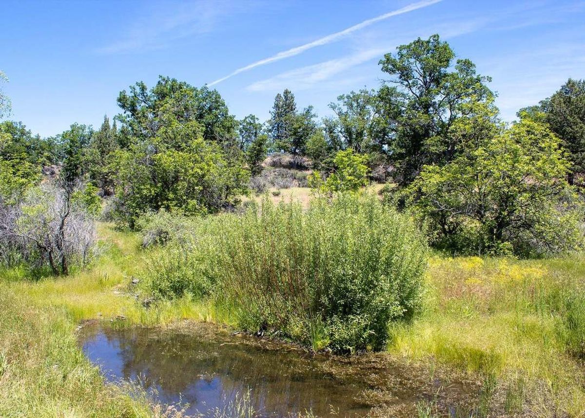 property-listing