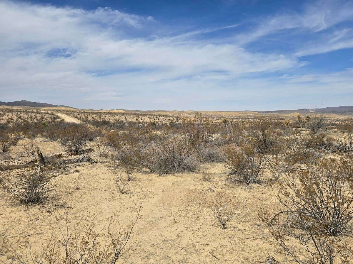 property-listing