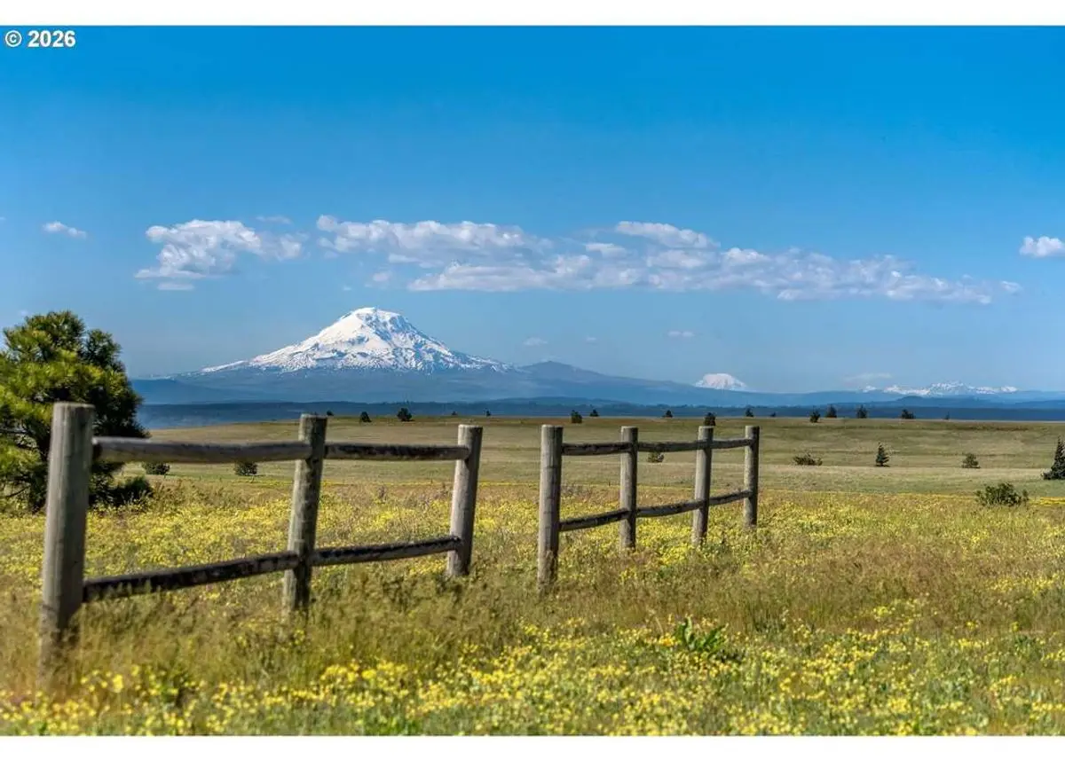 property-listing