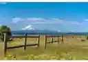 listing-thumbnails