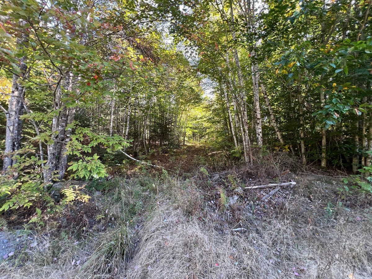 property-listing