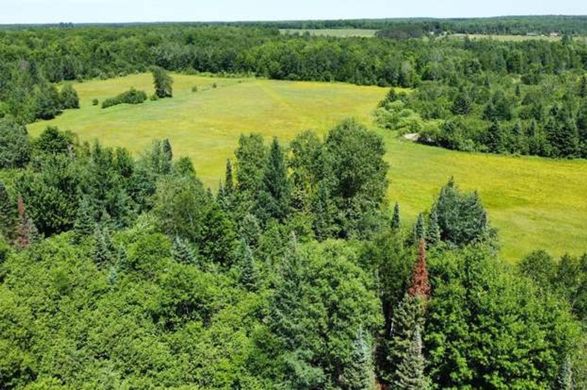 Green Homes for Sale - Brantwood, Wisconsin Green Home