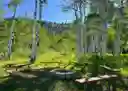 listing-thumbnails