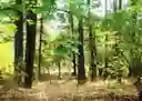 listing-thumbnails