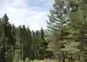 listing-thumbnails