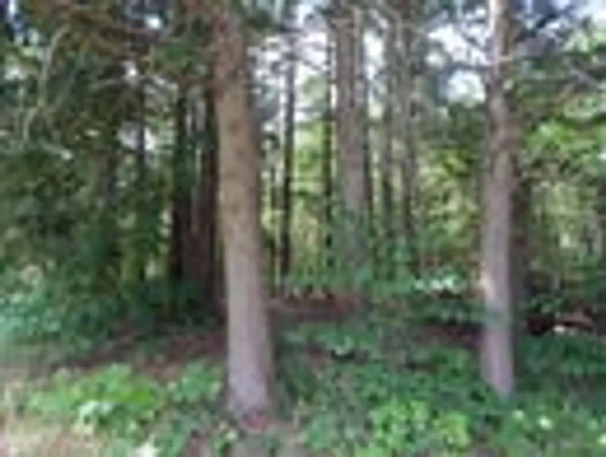 property-listing