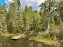 listing-thumbnails