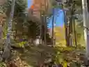 listing-thumbnails