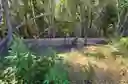 listing-thumbnails