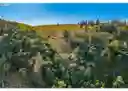 listing-thumbnails