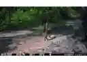 listing-thumbnails