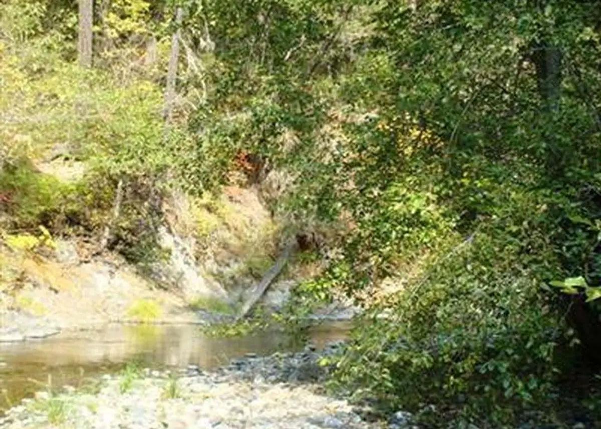 property-listing
