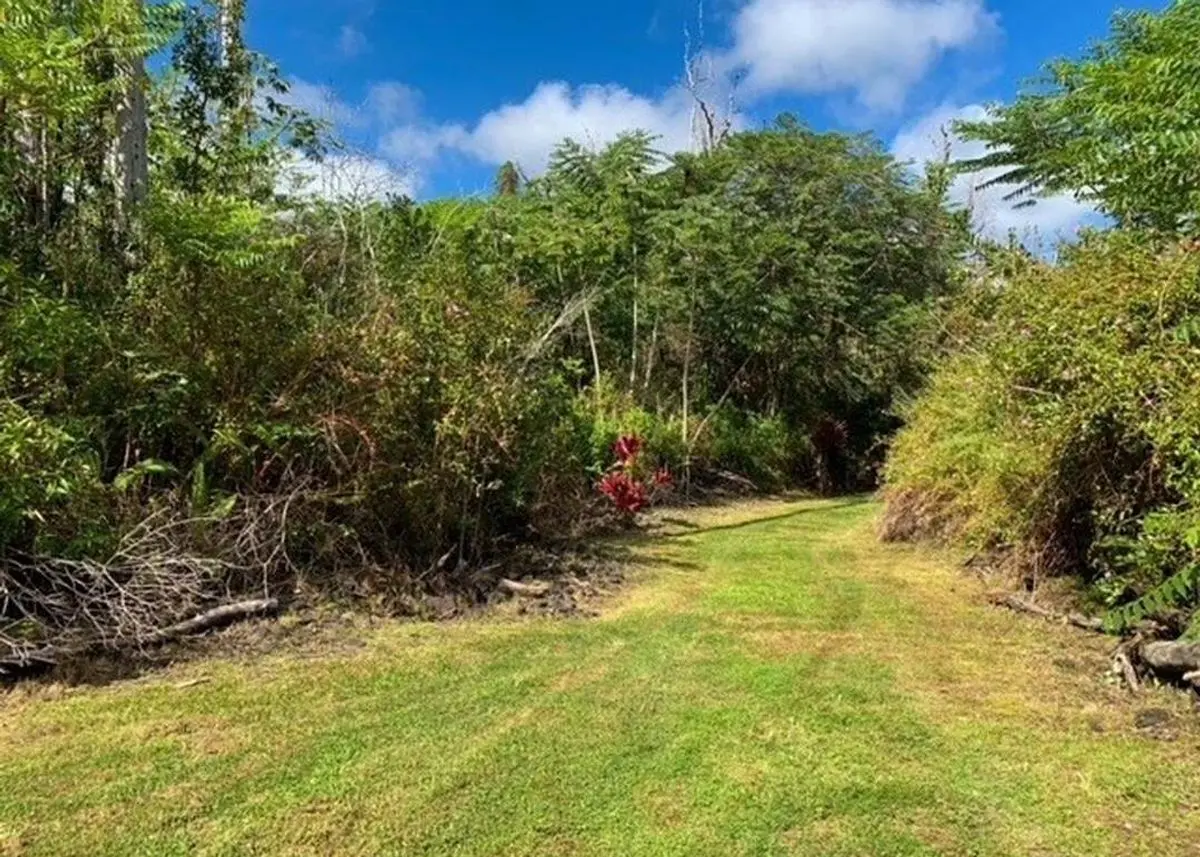Photo 3 of green home in PAHOA, Hawaii