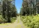 listing-thumbnails