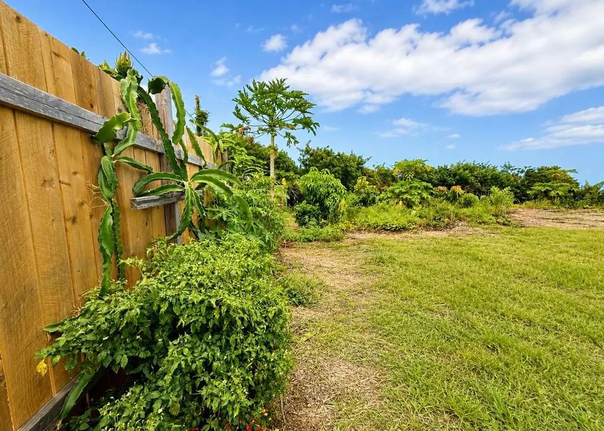 property-listing