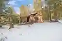 listing-thumbnails