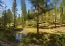 listing-thumbnails