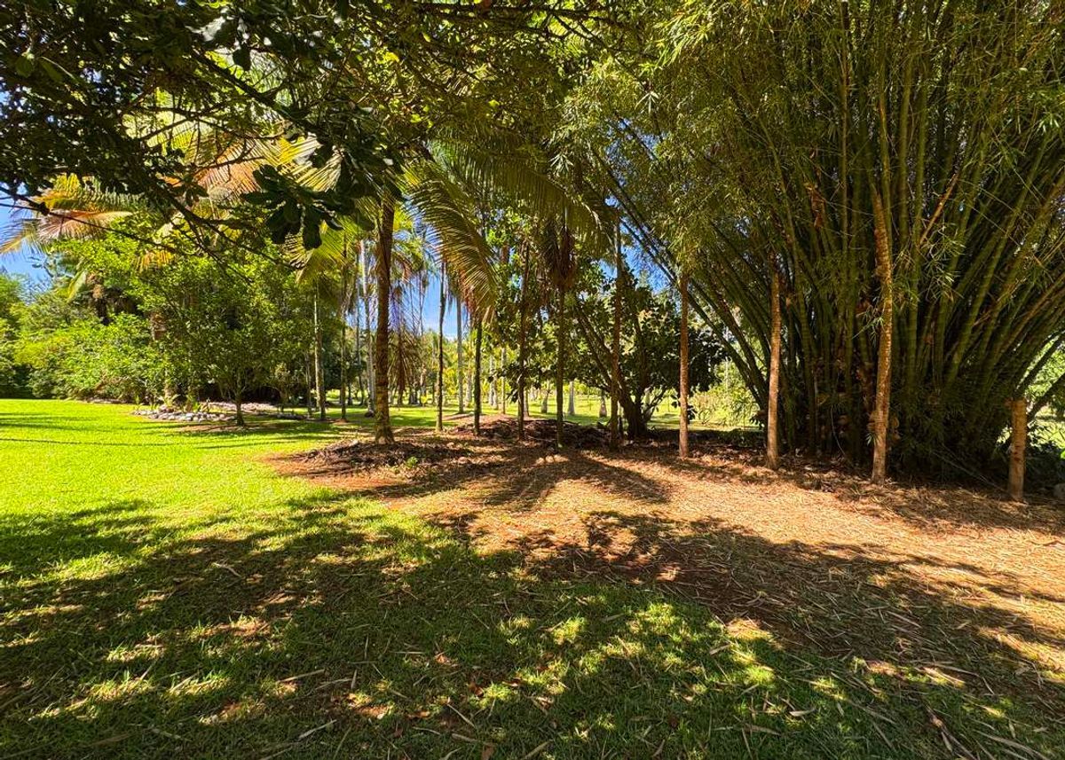 property-listing