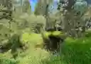 listing-thumbnails