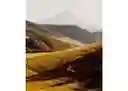 listing-thumbnails