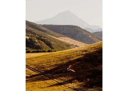 listing-thumbnails