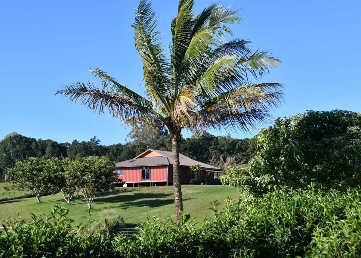property-listing