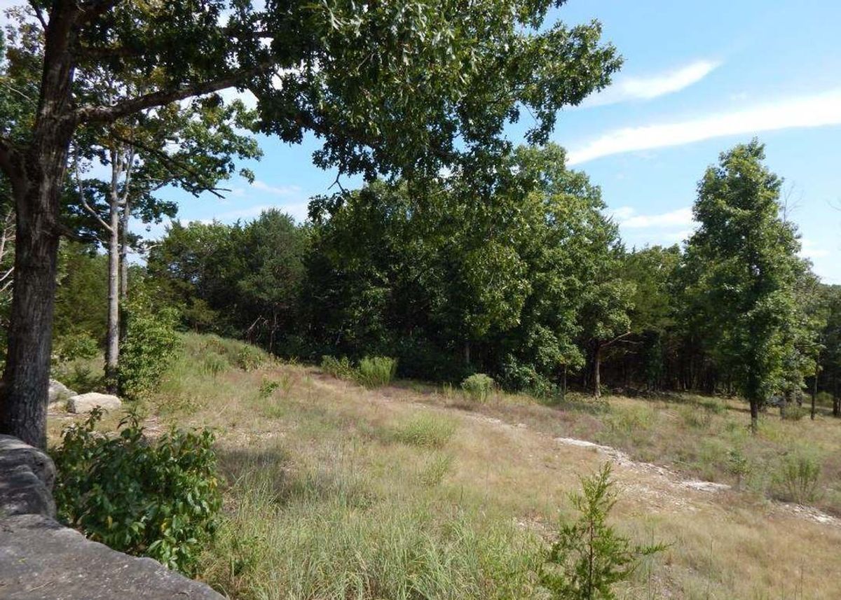 property-listing