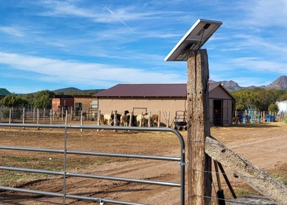 property-listing