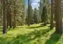 listing-thumbnails