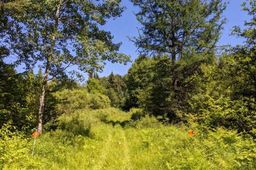 listing-thumbnails