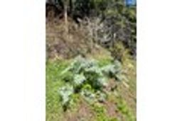 listing-thumbnails