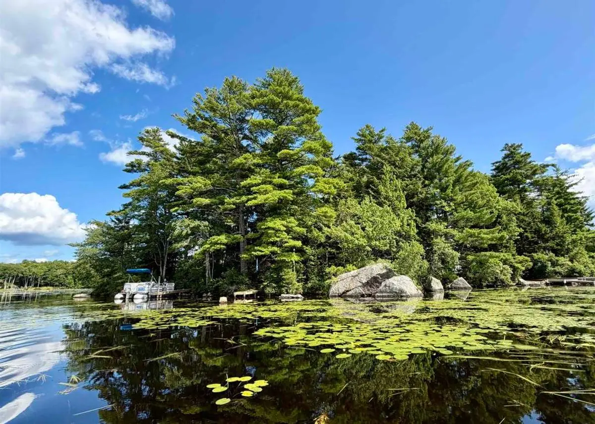 Photo 1 of green home in Washington, New Hampshire