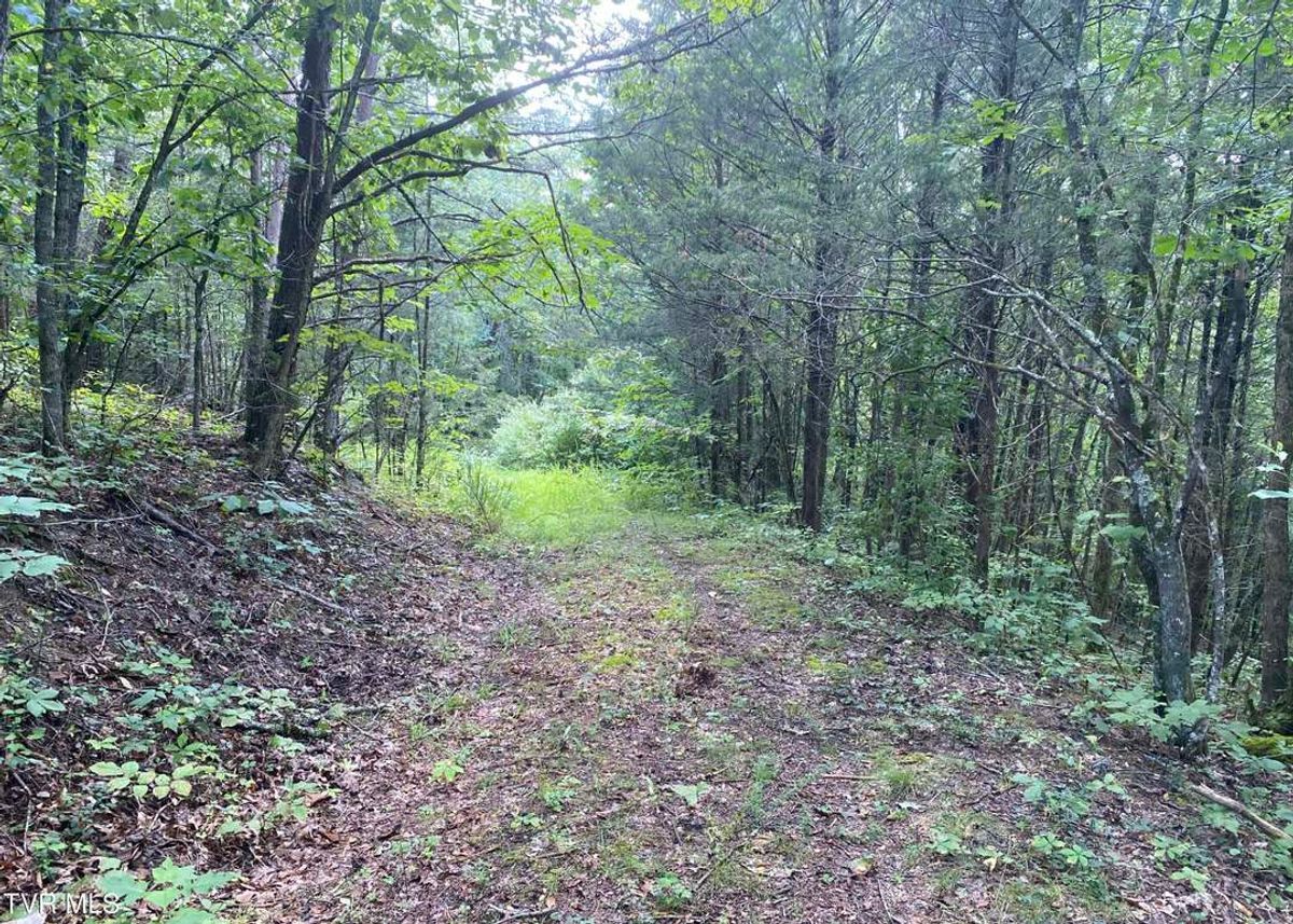 Green Homes for Sale - Blackwater, Virginia Green Home