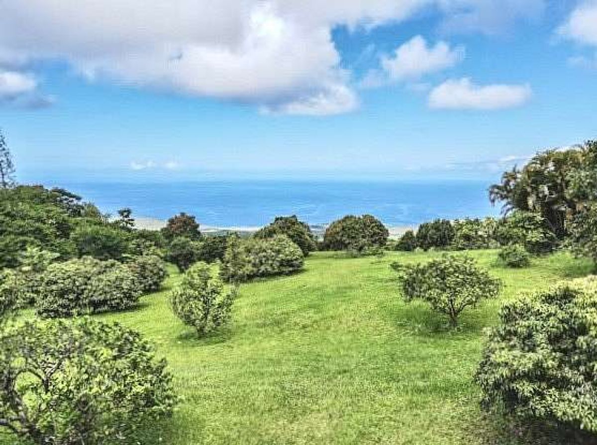 property-listing