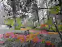 listing-thumbnails