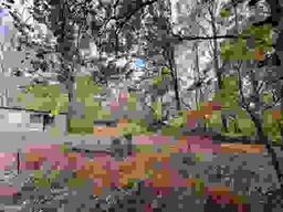 listing-thumbnails