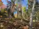 listing-thumbnails