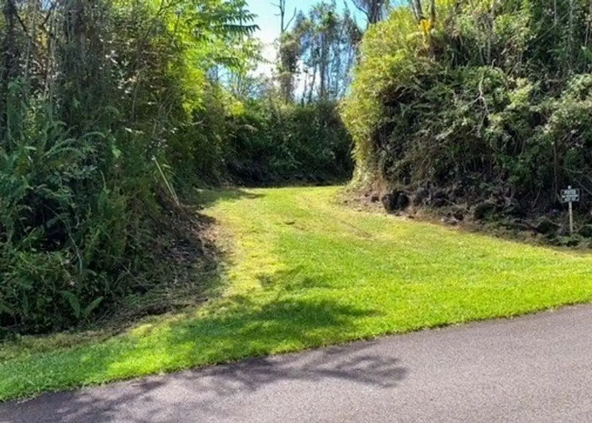 Green Homes for Sale - PAHOA, Hawaii Green Home