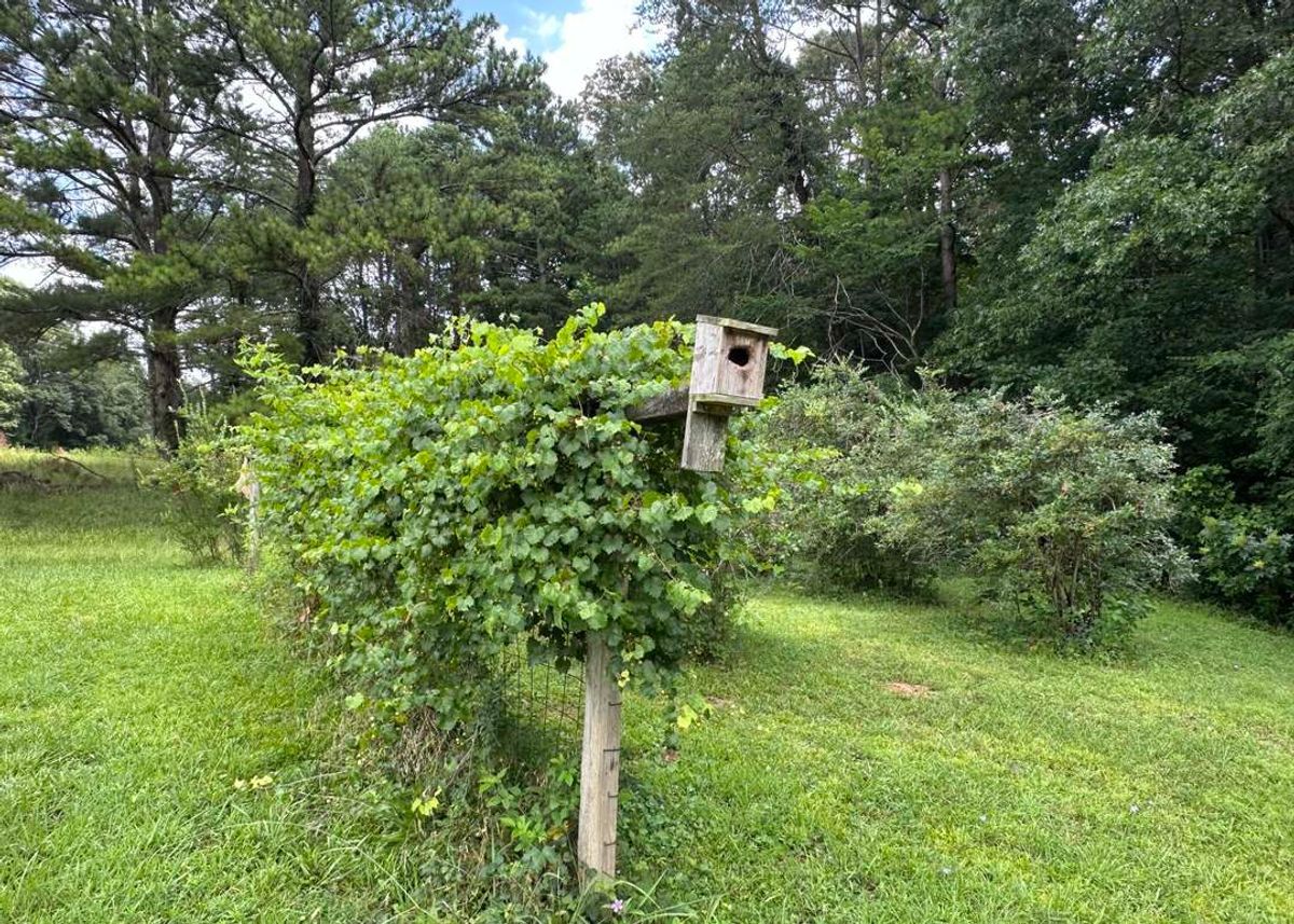 property-listing