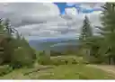listing-thumbnails