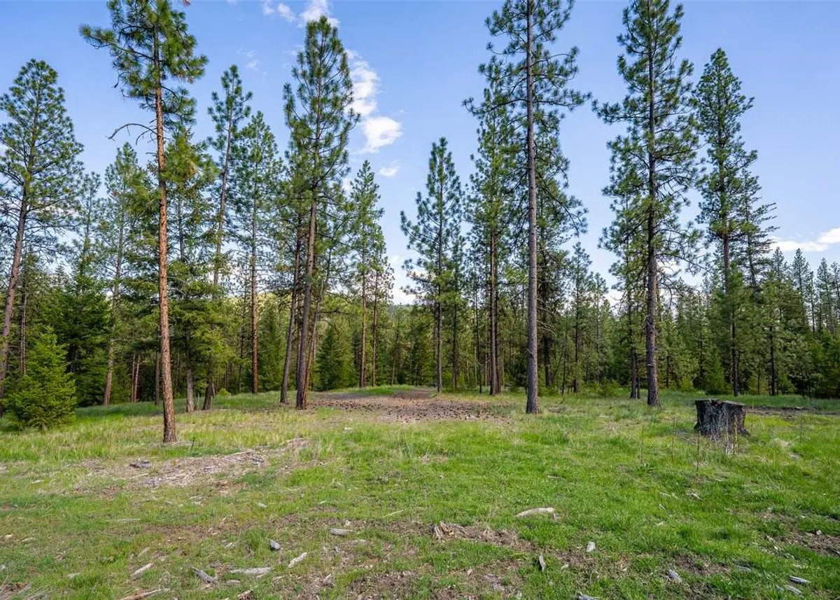 property-listing