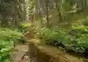 listing-thumbnails
