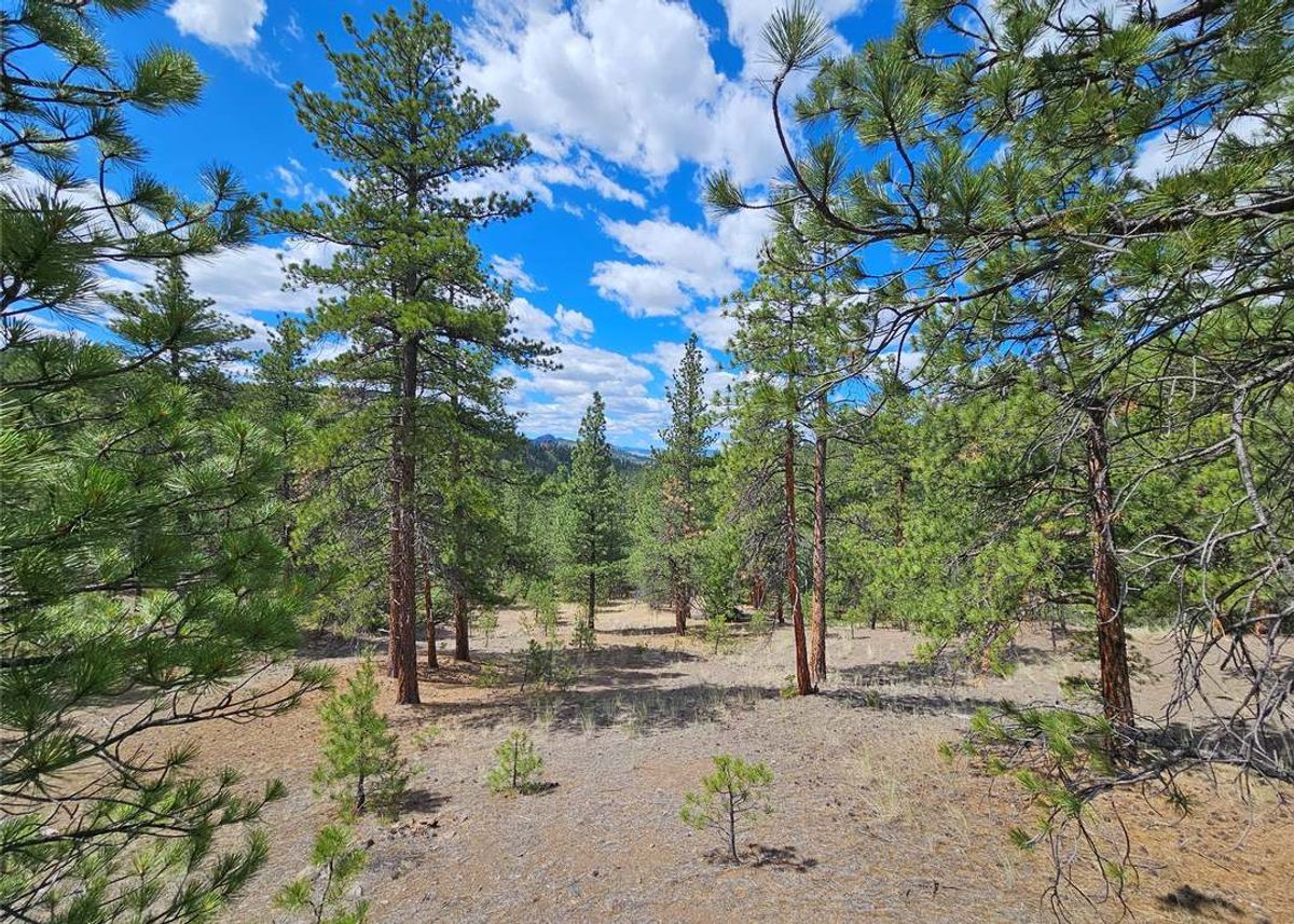 property-listing