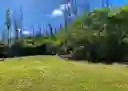 Photo 15 of green home in PAHOA, Hawaii