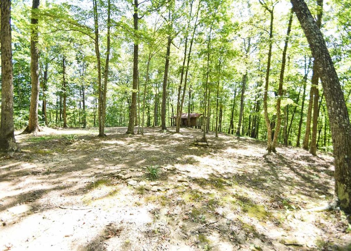 property-listing
