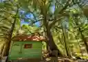 listing-thumbnails