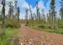 listing-thumbnails