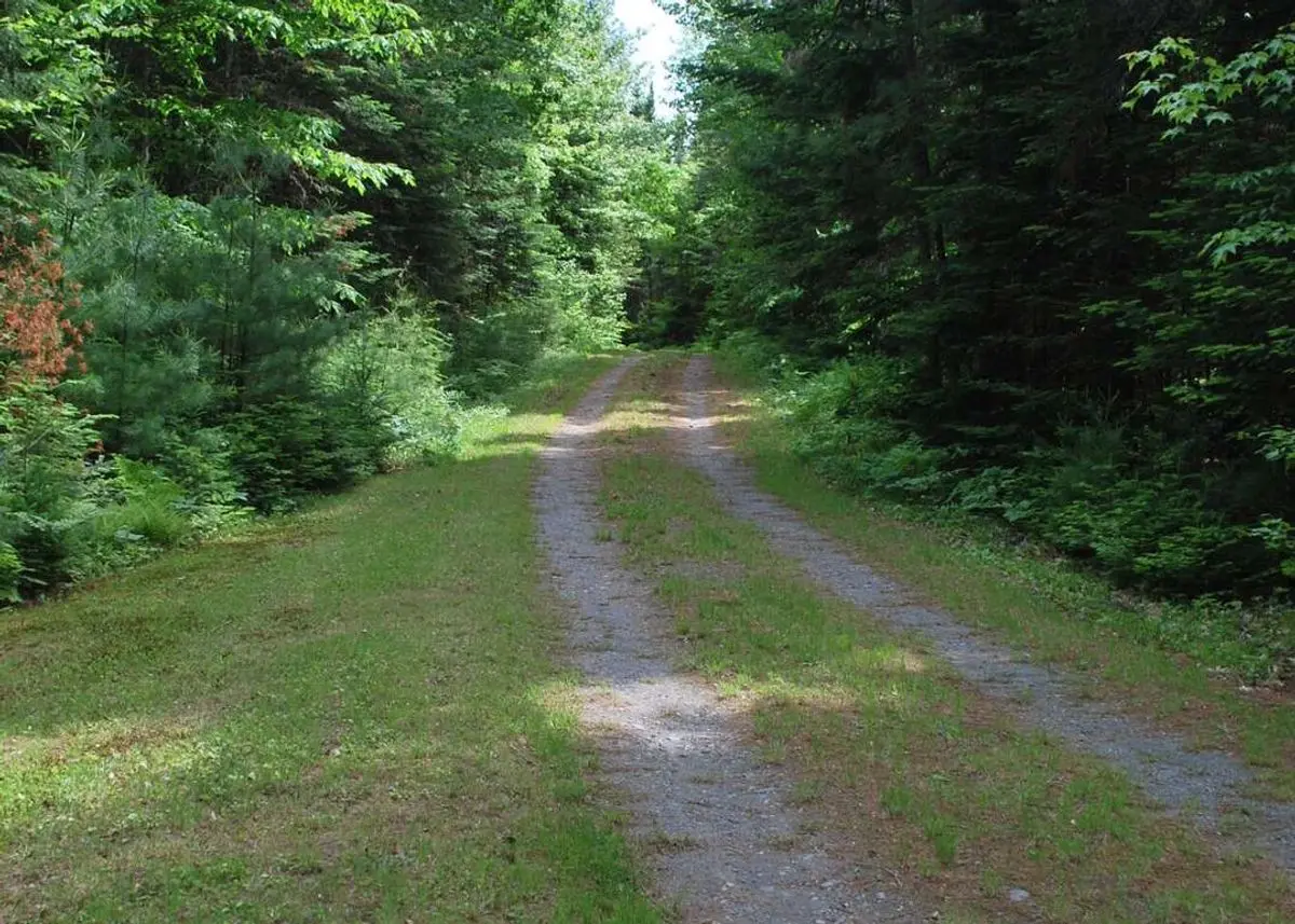 property-listing